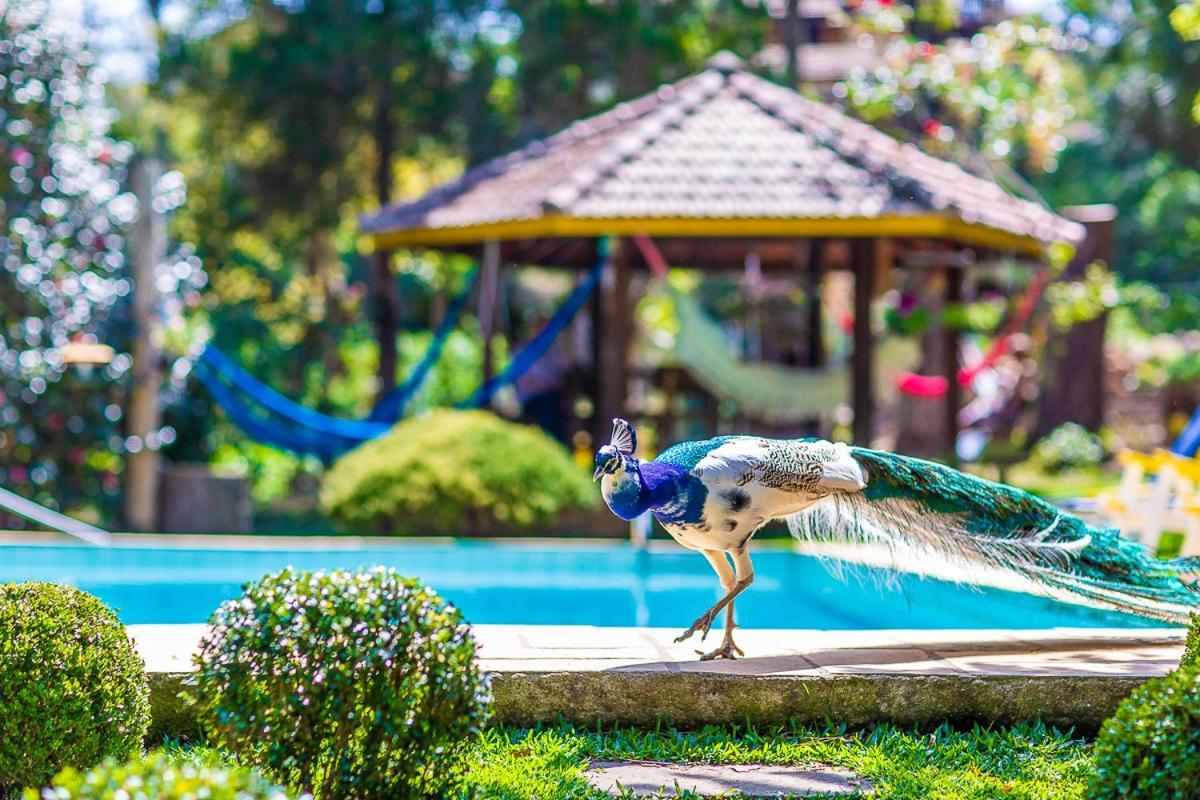 Pousada Villa D'Amore Monte Verde  Luaran gambar