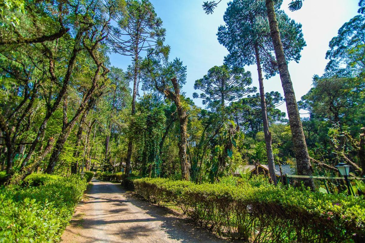 Pousada Villa D'Amore Monte Verde  Luaran gambar