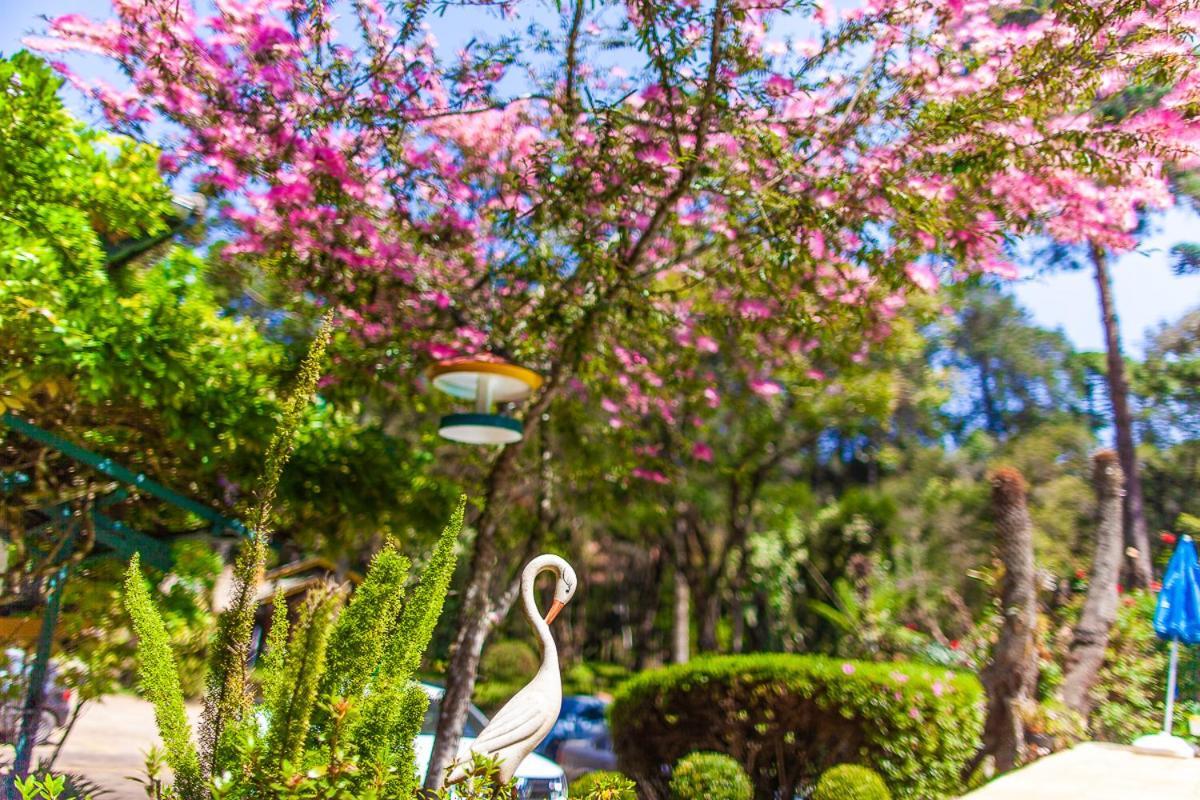Pousada Villa D'Amore Monte Verde  Luaran gambar